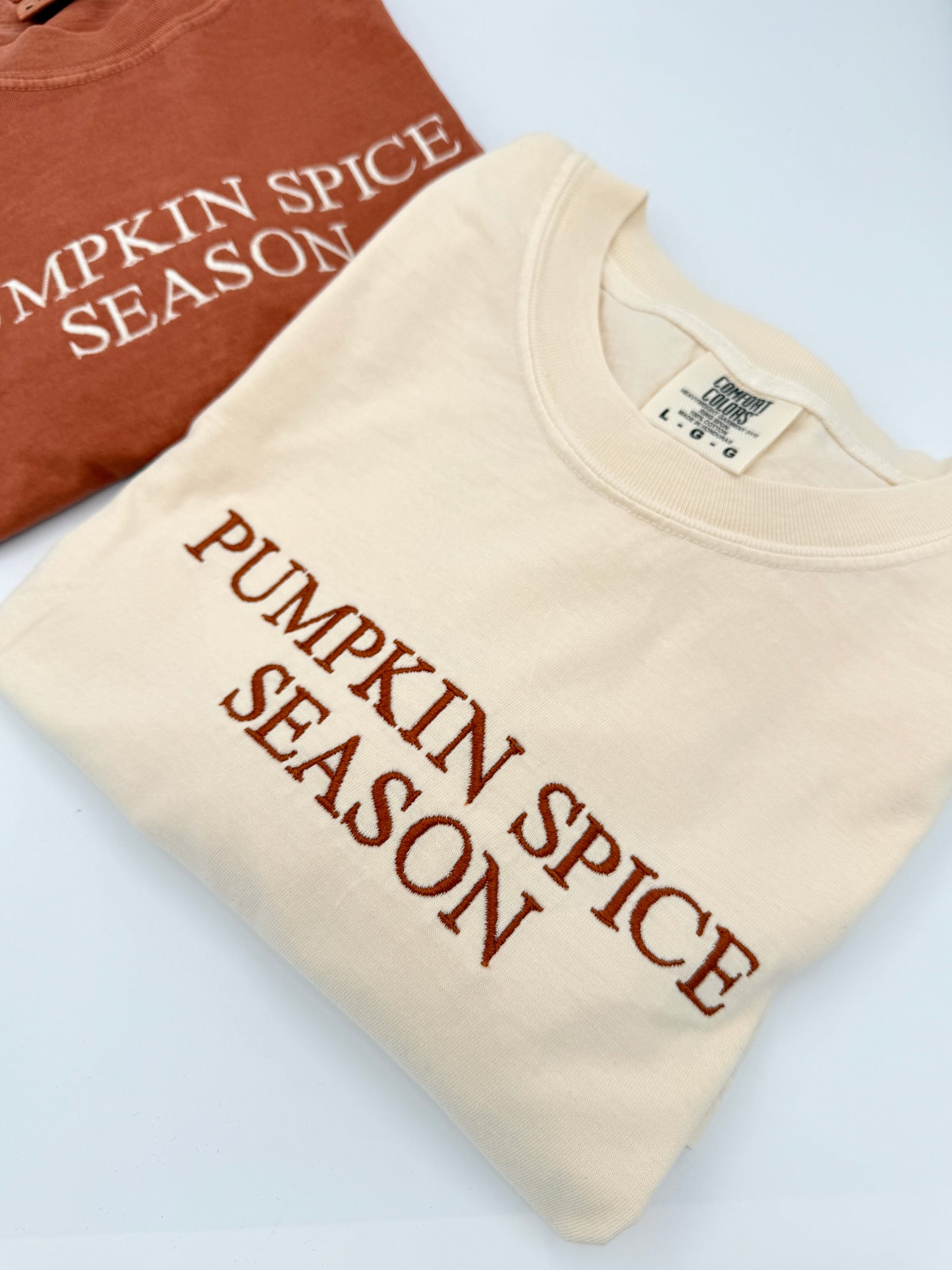 Embroidered Pumpkin Spice Season T-Shirt | Women's Fall Shirt