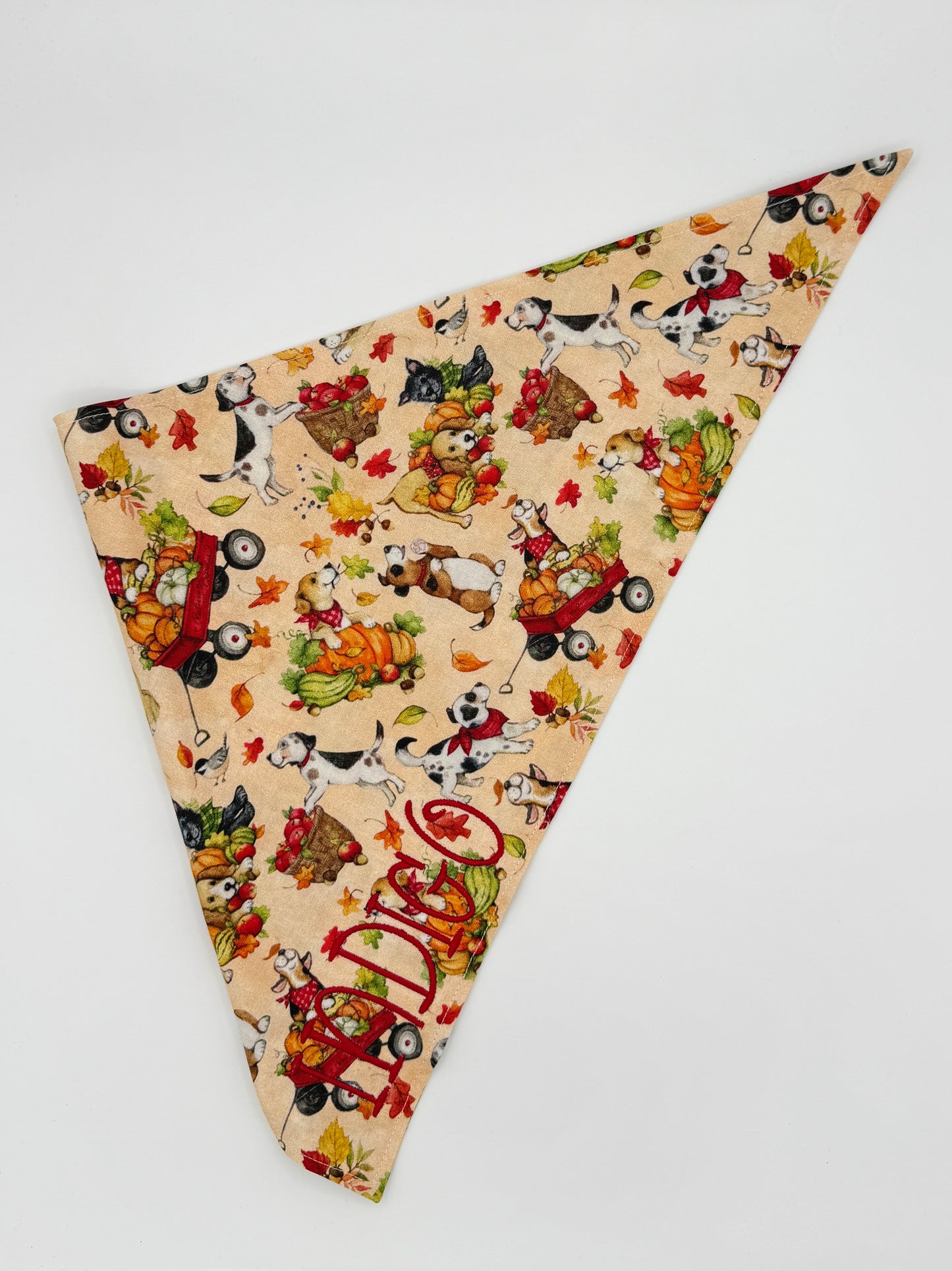 Custom Name Fall Dog Bandana | Embroidered Autumn Dog Bandana