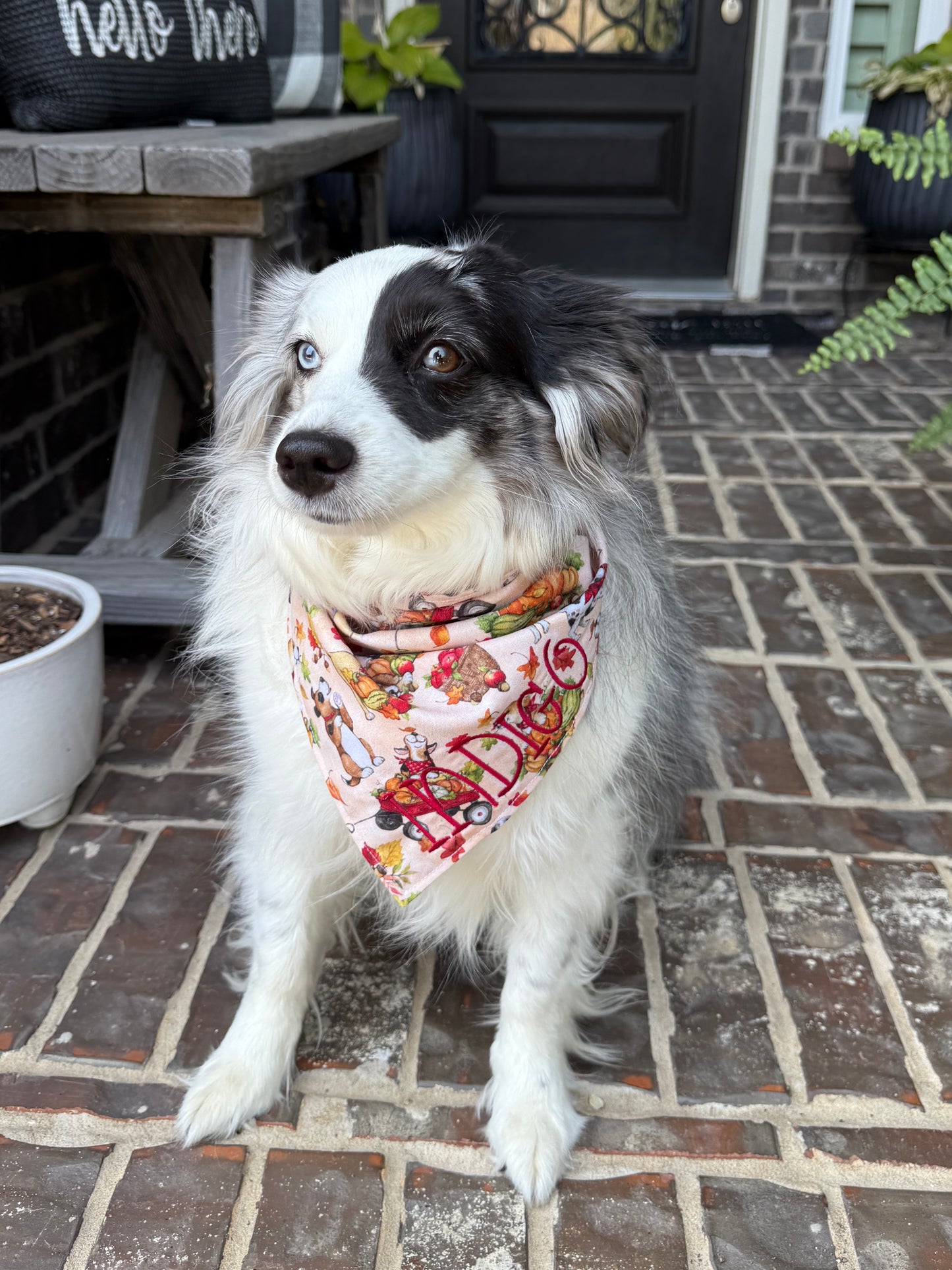 Custom Name Fall Dog Bandana | Embroidered Autumn Dog Bandana