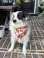 Custom Name Fall Dog Bandana | Embroidered Autumn Dog Bandana
